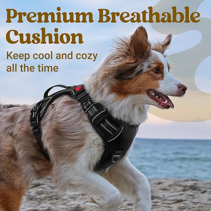 rabbitgoo Dog Harness Small Sized Dog, No Pull Pet Harness with Soft Padded Handle, Adjustable Reflective Vest with 3 Buckles, Easy Walking Harness with 2 Leash Clips, Black, S