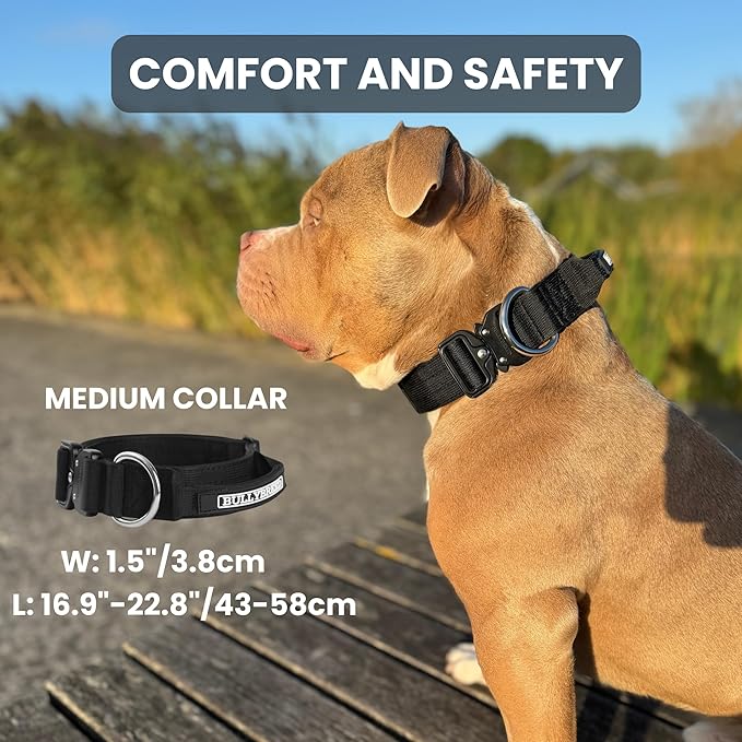 BULLYBREED Premium Dog Colar with Handle, Heavy Duty Dog Collar, Tactical Dog Collar, Quick-Release Metal Buckle, Thick Dog Collar, Dog Collar for Medium Dogs, Dog Collar for Large Dogs (Brown, M)