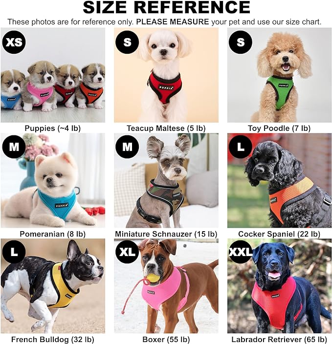 Authentic Puppia Soft Dog Harness, Red - Medium