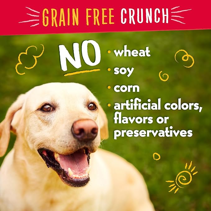 Charlee Bear Dog Treats Small Dogs Training Treats, Crunchy Low Calorie Grain Free Dog Treats, USA Made, Best for Small-Medium Breeds, Puppy Training Treats, Chicken, Pumpkin & Apple, 6 Pack, 8oz Each