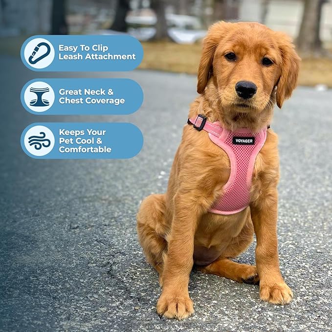 Best Pet Supplies Voyager Adjustable Dog Vest Harness Breathable No Pull Harness for Small, Medium, Large Dogs, Heavy Duty Harness for Walking, Jogging, Easy Step-in, Reflective Stripes - (Pink), XL