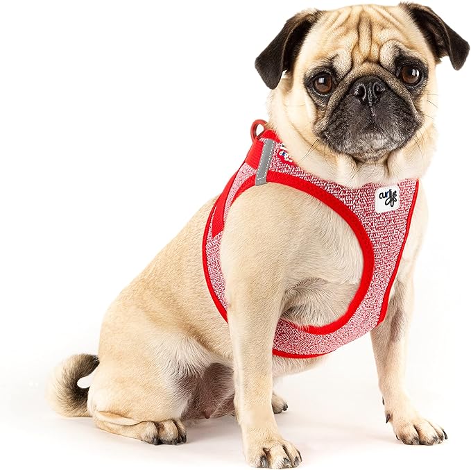 Vest Harness Merino curli Clasp Red L