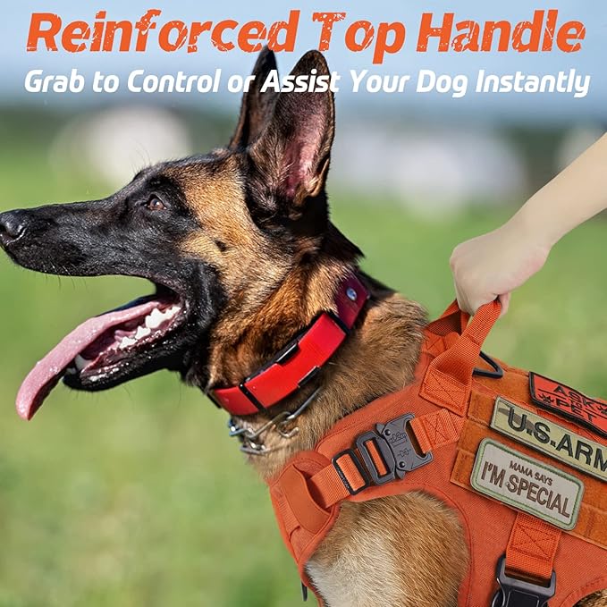 rabbitgoo Tactical Dog Harness for Large Dogs, Heavy Duty Dog Harness with Handle, No-Pull Service Dog Vest Large Breed, Adjustable Military Dog Vest Harness for Training Hunting Walking, Orange, L