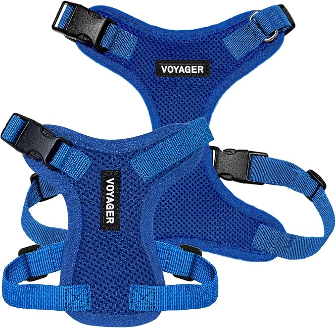 Voyager Step-in Lock Pet Harness - All Weather Mesh, Adjustable Step in Harness for Cats and Dogs by Best Pet Supplies - Royal Blue, XS