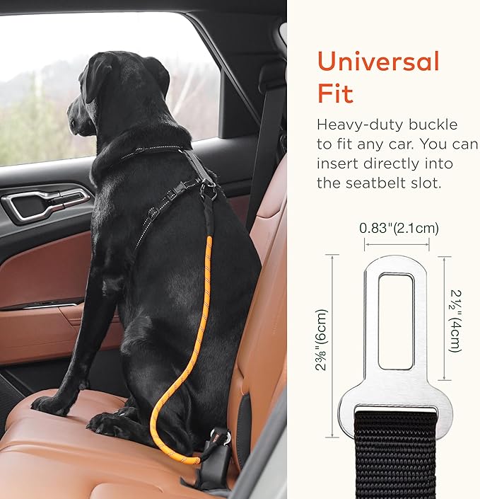 Dog Seat Belt for Car | Universal Dog Car Seatbelt | Durable Reflective Dog Seatbelt with Clip Hook Latch, Buckle and Carabiner- Safe and Secure Pet Safety Restraint for Dog (Orange)