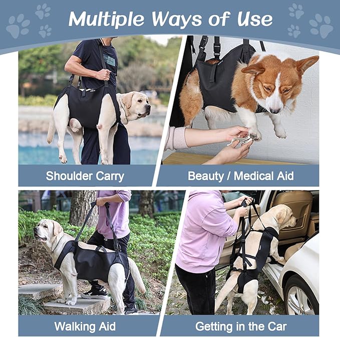BIGNADO Dog Lift Harness Adjustable Full Body Support Dog Sling Breathable Straps for Assisted Mobility Dog Legs Hip Rehabilitation Lifts for Elderly Disabled Leg Injuries Dogs-M