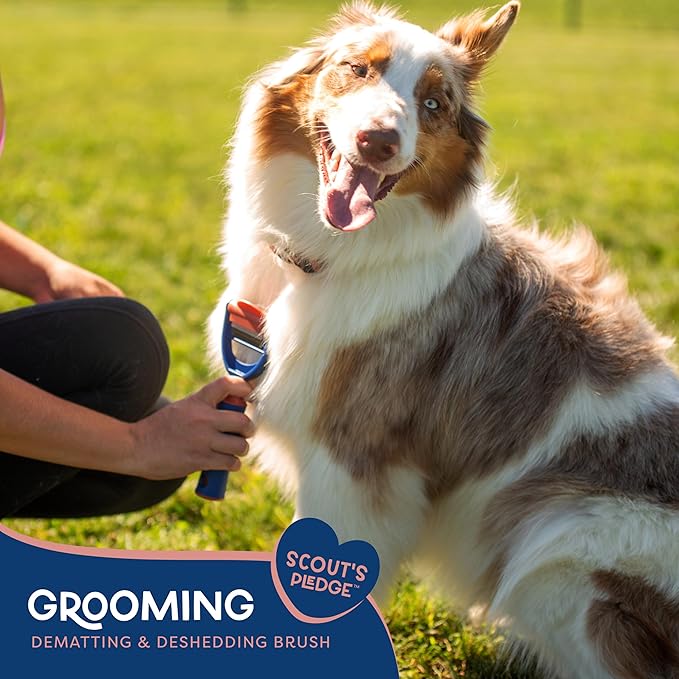 Good Scout 2-in-1 Dual-Head Pet Hair Comb, Best Deshedding Tool for Dogs & Cats, Gentle, Safe & Effective Grooming Tool for Short or Long Haired Animals