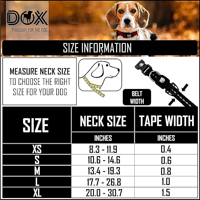 DDOXX Reflective Nylon Dog Collar - Strong and Adjustable Collars Dogs - XS (Black)