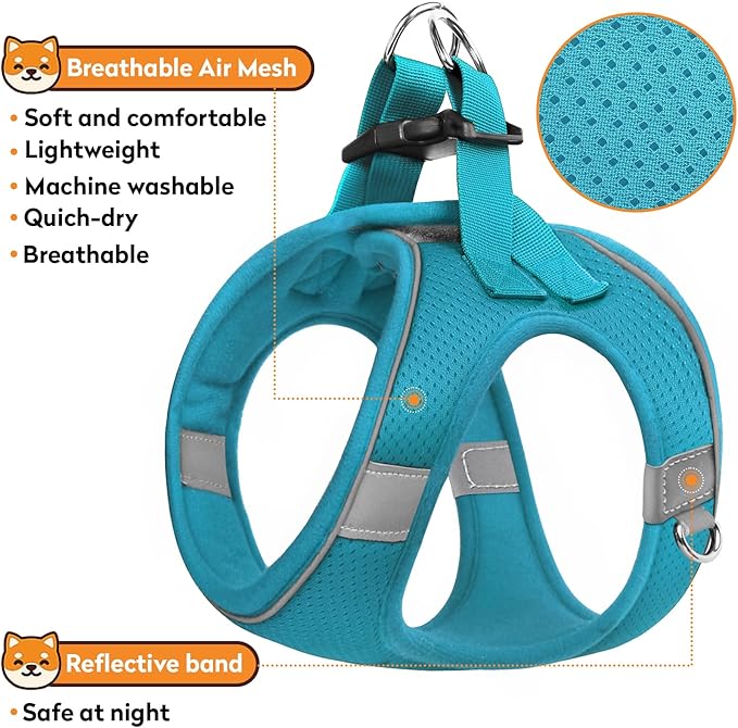 Dog Harness with Leash Set, No-Pull Step-in Reflective Pet Harness with 1 Leash Clips, Adjustable Soft Padded Easy Walk Dog Vest for Small Medium Large Dogs, Cats(Teal, Large)