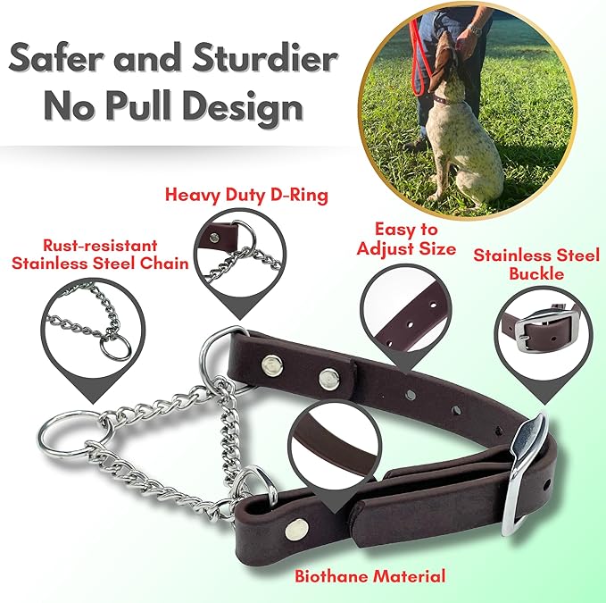 Martingale Collar for Dogs, Biothane, Stainless Steel Hardware, No Pull, Made in The USA, Professional Grade, XS, Brown