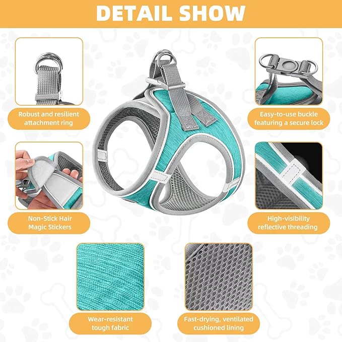 Dog Harness with Leash Set, Adjustable Soft Mesh Padded Reflective Dog Harnesse, Dog Leash with Soft Padded Handle, Puppy Harness and Leash Set for Walking,Training - Blue, XXS