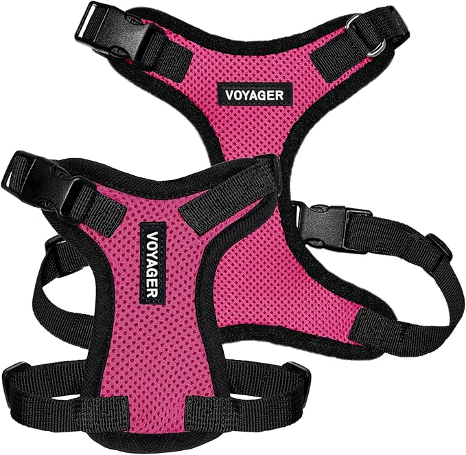 Voyager Step-in Lock Pet Harness - All Weather Mesh, Adjustable Step in Harness for Cats and Dogs by Best Pet Supplies - Fuchsia/Black Trim, XS