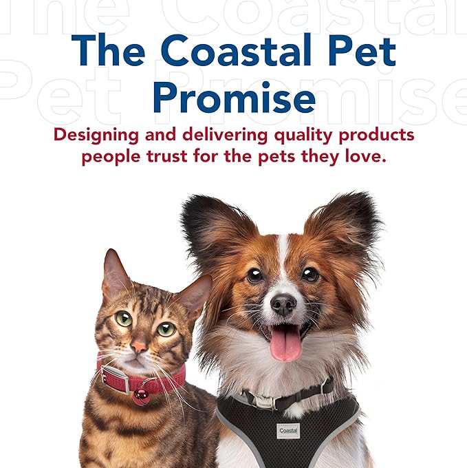 Coastal Pet Safari Dog Diamond Nail File - Diamond Finish for Smooth Nails - Removes Burs from Outdoor & Indoor Dogs - One Size