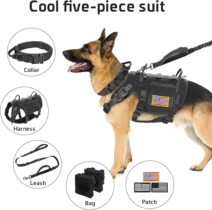 Forestpaw Tactical Dog Harness for Large Dogs,Tactical Dog Collar with Bungee Leash Set,No Pull Military Dog Harness for Dog Walking Training,Adjustable for Medium Large Dogs,Black M