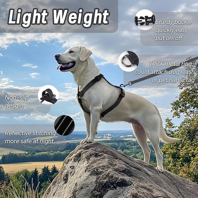 Dog Harness Leash Set, No Pull Adjustable Halter Cute Comfort Padded Handle for Medium Sized Large Small Dogs Walking Training Running with Reflective（Small,Black）