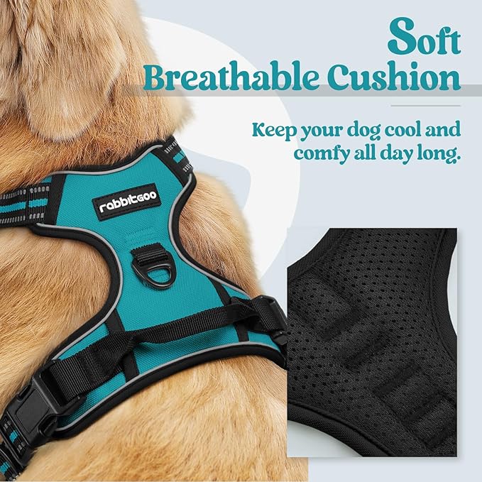 rabbitgoo Dog Harness, No-Pull Pet Harness with 2 Leash Clips, Adjustable Soft Padded Dog Vest, Reflective No-Choke Pet Oxford Vest with Easy Control Handle for Large Dogs, Teal, S