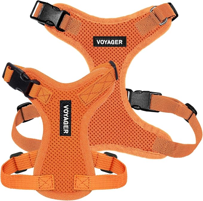 Voyager Step-in Lock Pet Harness - All Weather Mesh, Adjustable Step in Harness for Cats and Dogs by Best Pet Supplies - Orange, XS