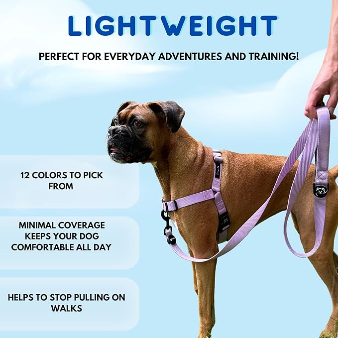 ShawnCo Dream Walk No-Pull Dog Harness- Adjustable, Comfortable, Easy to Use Pet Halter to Help Stop Pulling for Small, Medium and Large Dogs (Pacific Blue, M)