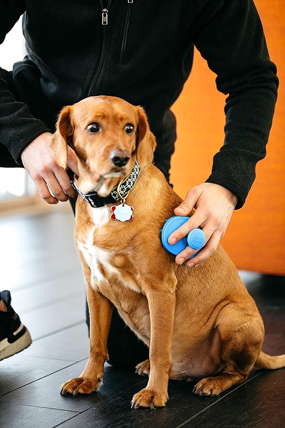 Dexas BrushBuster Silicone Gentle Dog Grooming and Massage Brush, Pro Blue