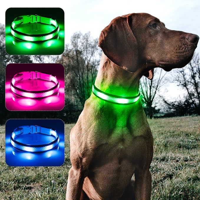 LED Dog Collar Rechargeable - BSEEN Light Up Dog Collar, Glow in The Dark Dog Collar Light, Reflective Dog Collar Safety Dog Lights for Night Walking (Medium, Green Ⅱ)