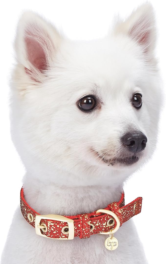 Blueberry Pet 4 Colors Glam Life Gold Stamping Lace Adjustable Dog Collar in True Red, Neck 9-12.5", for Small Breed