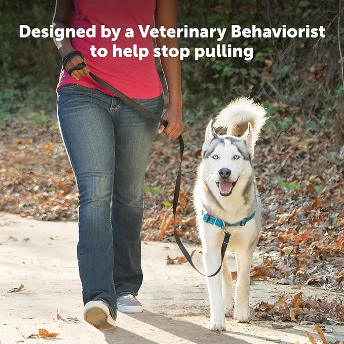 PetSafe Easy Walk Deluxe Dog Harness, No Pull Dog Harness – Perfect for Leash & Harness Training – Stops Pets from Pulling and Choking on Walks – Medium, Apple