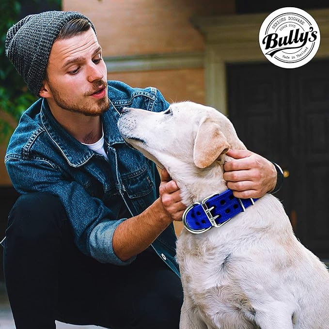 Pit Bull Collar, Dog Collar for Large Dogs, Heavy Duty Nylon, Stainless Steel Hardware (XXL, Black with Blue Trim)