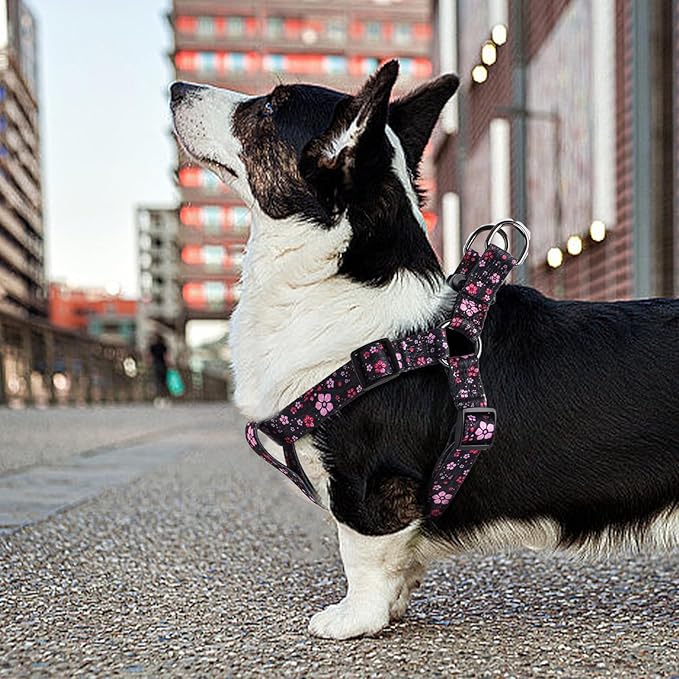QQPETS Dog Harness Leash Set Adjustable Heavy Duty No Pull Halter Harnesses for Small Medium Large Breed Dogs Back Clip Anti-Twist Perfect for Walking