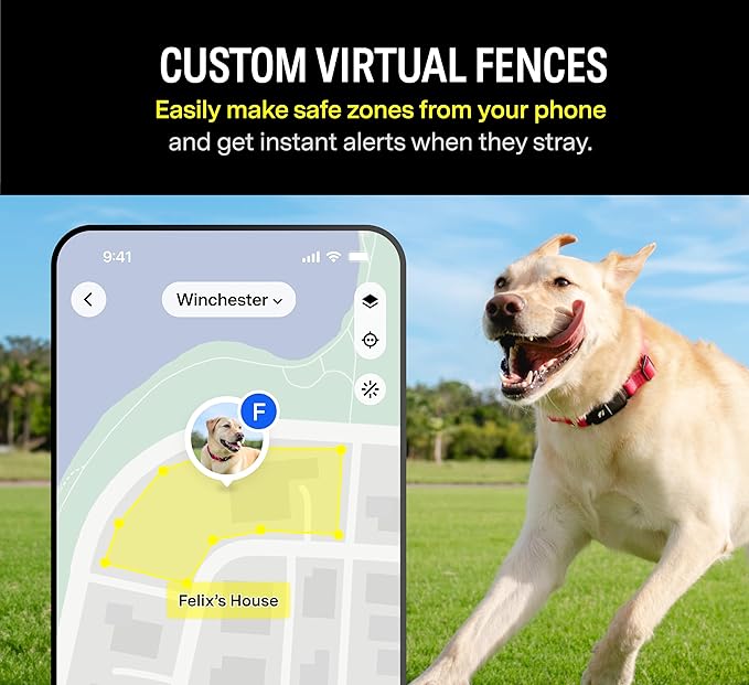 Fi Series 3 Smart Dog Collar - GPS Dog Tracker and Activity & Fitness Monitor, Waterproof, LED Light, Escape Alerts, Nationwide Coverage [Free 6 Month Membership] (Gray, Large)