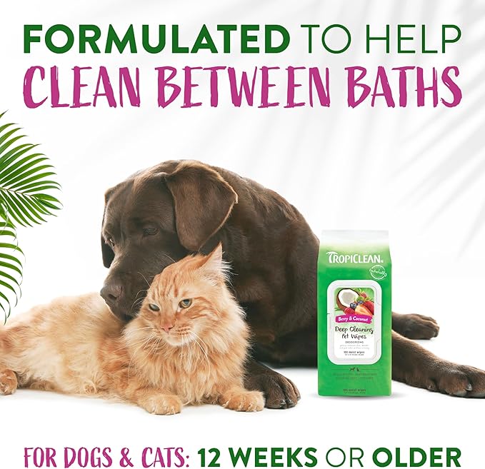 TropiClean Dog Wipes for Paws, Butt, Face, and Body, Anytime Cleaning and Deodorizing Pet Wipes, Safe for Licking, Berry Scent, Cat Safe, 100ct