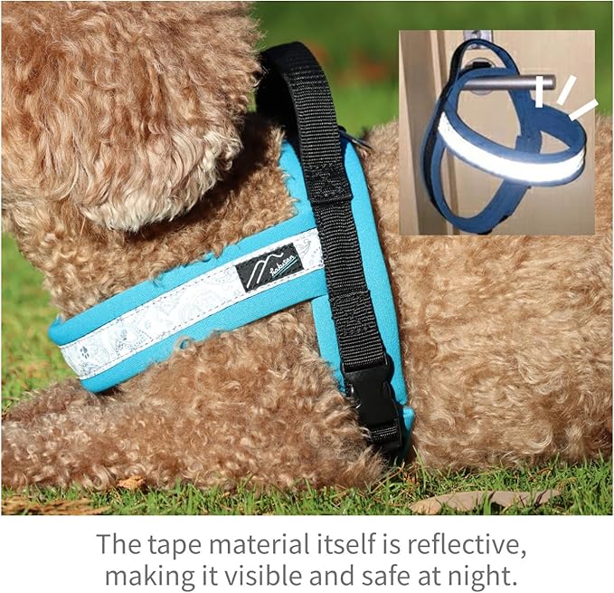 【Hakusan】 New Just Fit Dog Harness Dragon - Reflective, Paisley, Stress-Free, Japanese Made,one-Touch Buckles,Easily Put on, (Red×Black, 0)