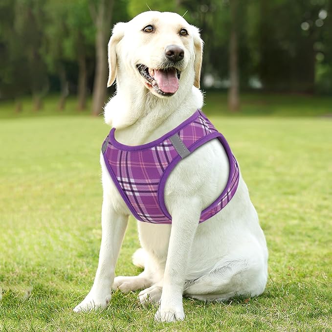 Athena Collection Step-in Dog Harness with 5 ft Leash, Large Dog Harness Leash Set Large No Pull Dog Vest Harness with Reflective Strips Adjustable Velcro, Easy Walk Dog Harness, Purple
