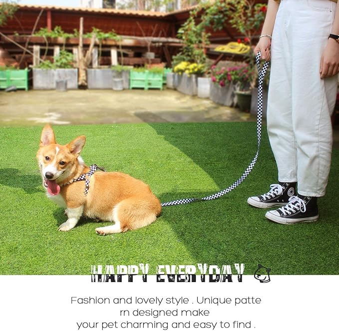 QQPETS Dog Harness Leash Set Adjustable Heavy Duty No Pull Halter Harnesses for Small Medium Large Breed Dogs Back Clip Anti-Twist Perfect for Walking (S(14"-20" Chest Girth), Black Plaid)