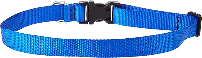 LupinePet Basics 1" Blue 16-28" Adjustable Collar for Large Dogs