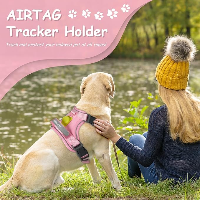 AUROTH Dog Harness Small Sized Dog, Small No Pull Dog Harness, Dog Harness for Small Dogs, Harness Small Size Dog Vest Harness with Handle, Pink S