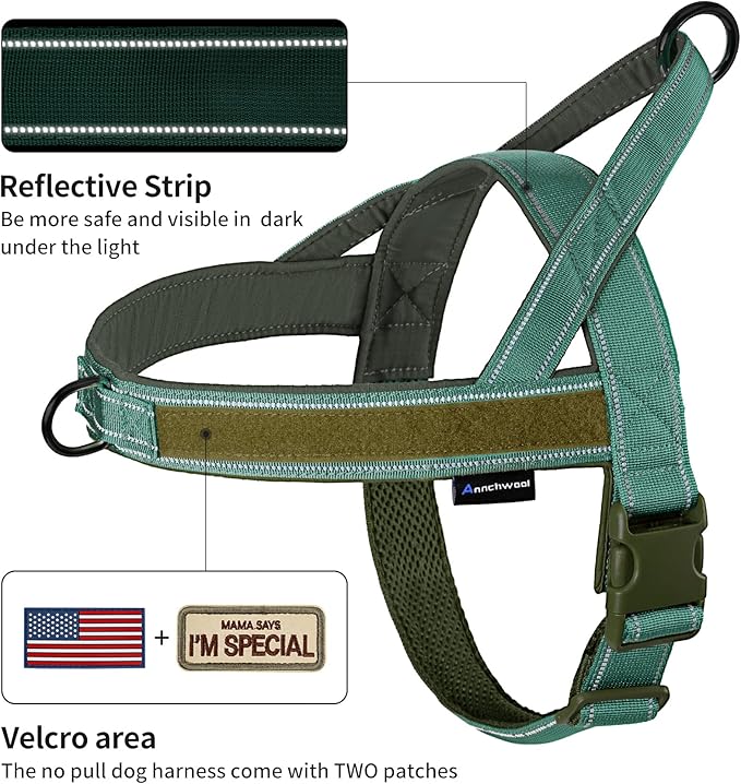 Annchwool No Pull Dog Harness with Padded Handle+5 Ft Leash,Reflective Strip Escape Proof and Quick Fit to Adjust Dog Harness,Easy for Training Walking for Small & Medium and Large Dog(Green-Set,M)