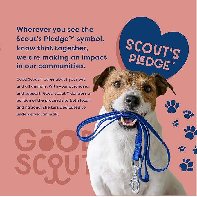 Good Scout Stainless Steel Pet Hair Rake, Best Deshedding Tools for Dogs & Cats, Gentle, Safe & Effective Grooming Tool for Long & Short Haired Animals