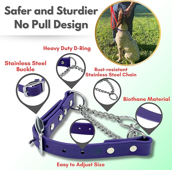 Martingale Collar for Dogs, Biothane, Stainless Steel Hardware, No Pull, Made in The USA, Professional Grade, XS, Purple