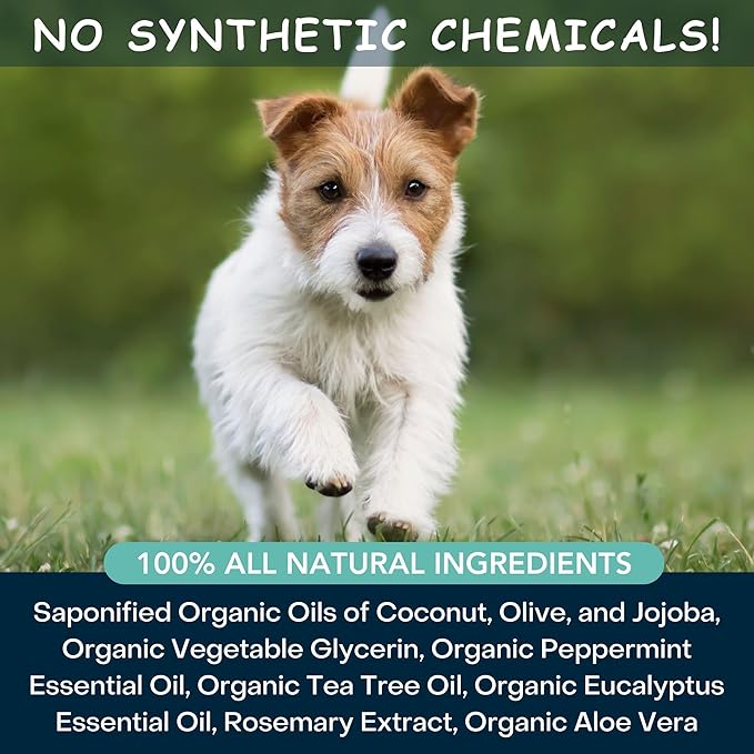 Organic Dog Shampoo, Cooling Peppermint Tea Tree Dog Shampoo for Skin Conditions and Hot Spot - 16 oz