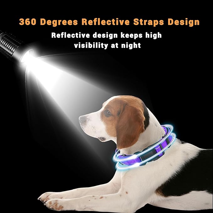 2 Pack Reflective Dog Collar with Safety Locking Buckle, Adjustable Soft Breathable Comfortable Nylon Pet Collar for Small, Medium and Large Dogs, Purple, M