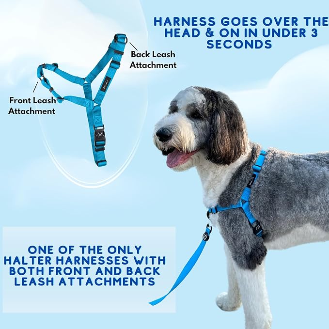 ShawnCo Dream Walk No-Pull Dog Harness- Adjustable, Comfortable, Easy to Use Pet Halter to Help Stop Pulling for Small, Medium and Large Dogs (Midnight, XS)