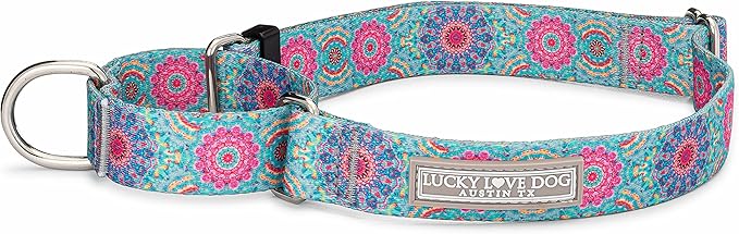 Lucky Love Dog, Boho Chic Martingale Dog Collar for Girl Boy Dogs, Premium No Slip Collar, Vivid Pink and Turquoise Martingale Collar for Dogs (Medium, Clara Mart)