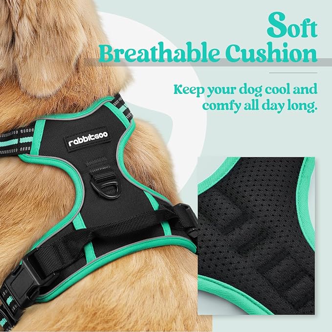 rabbitgoo Dog Harness, No-Pull Pet Harness with 2 Leash Clips, Adjustable Soft Padded Dog Vest, Reflective No-Choke Pet Oxford Vest with Easy Control Handle for Large Dogs, Black & Turquoise, S