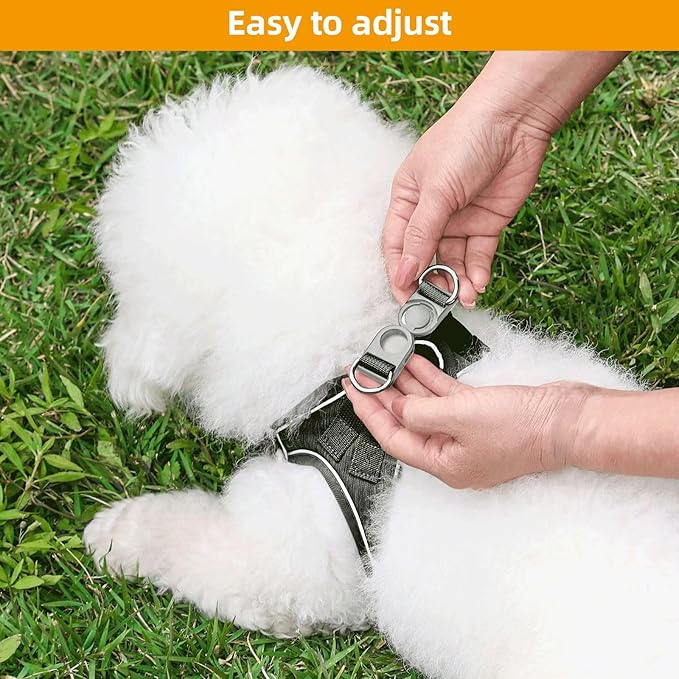 Dog Harness with Leash Set, Adjustable Soft Mesh Padded Reflective Dog Harnesse, Dog Leash with Soft Padded Handle, Puppy Harness and Leash Set for Walking,Training - Black, XXS