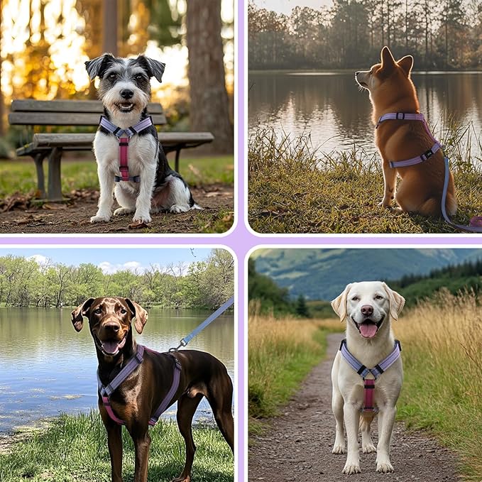 Dog Harness Leash Set, No Pull Adjustable Halter Cute Comfort Padded Handle for Medium Sized Large Small Dogs Walking Training Running with Reflective（Medium,Red Blue）