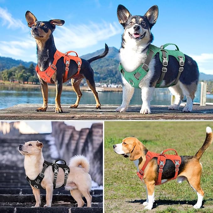 Beirui Escape Proof Dog Harness,Soft Padded Dog Vest No Pull with Lift Handle,Durable Reflective Waterproof Full Body Pet Harness for Small Medium Dogs Walking Training(Orange,Chest 18-32")