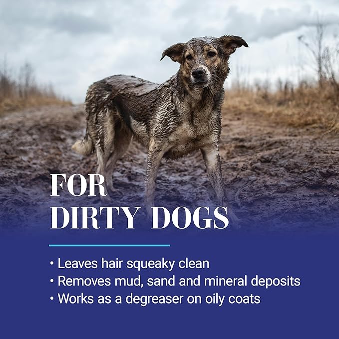 Chris Christensen Clean Start Dog Shampoo, Groom Like a Professional, Pro-Vitamin Deep Cleansing Formula, Preserves Natural Oils, Removes Build Up from Other conditioners, All Coat Types, Made in USA