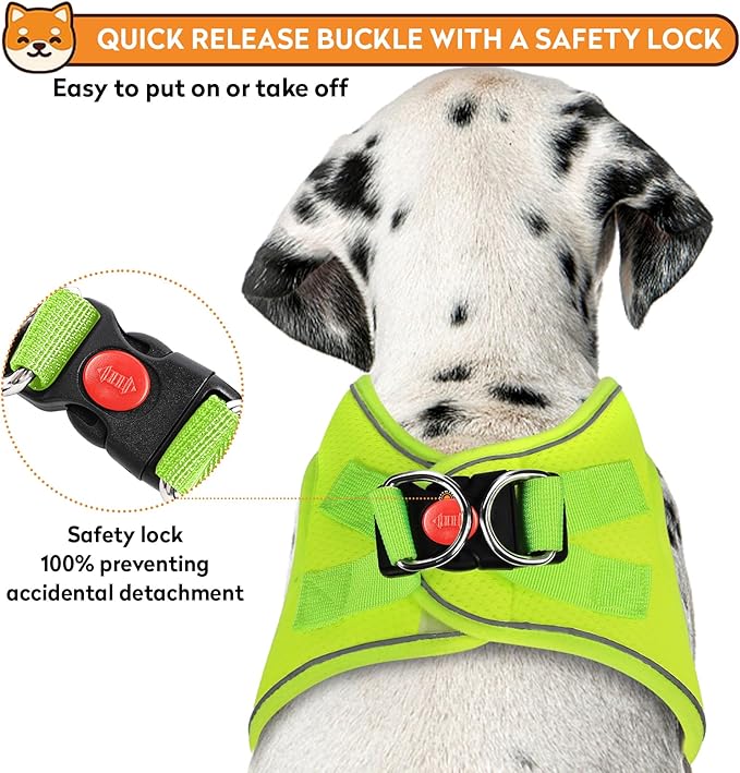 Dog Harness with Leash Set, No-Pull Step-in Reflective Pet Harness with 1 Leash Clips, Adjustable Soft Padded Easy Walk Dog Vest for Small Medium Large Dogs, Cats(Fluorescent, XXXSmall)