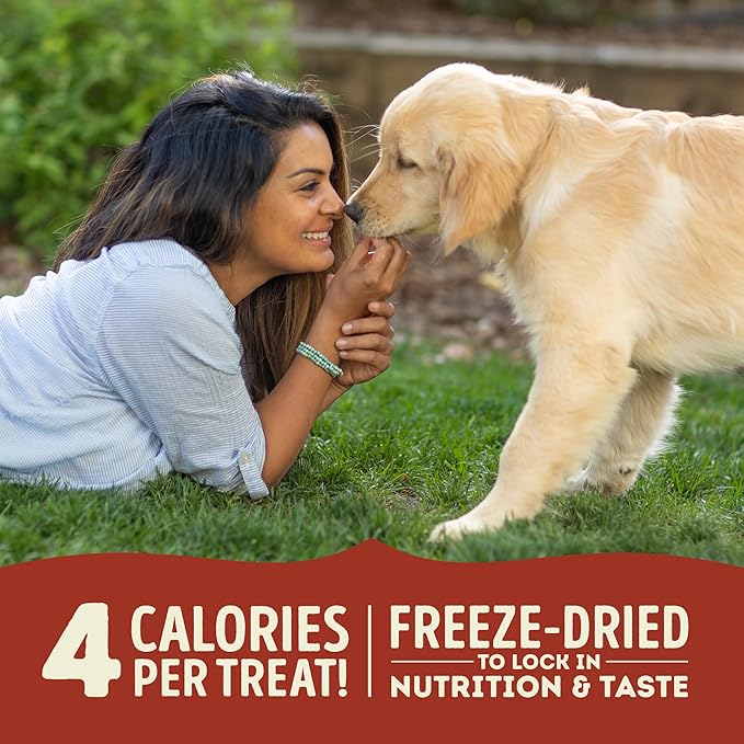 Singles Freeze Dried Dog Treats, Limited Ingredient Grain Free Beef & Pumpkin Recipe, 3.25oz