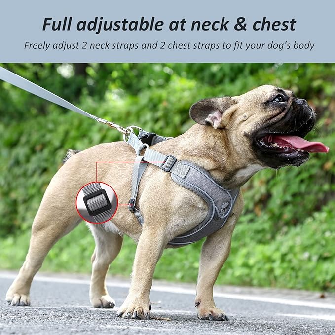 Dog Harness with Leash Set, No Pull Adjustable Step in Dog Collars Harness with Breathable Padded Vest Harness for Small Medium Large Dogs Training and Running(L, Gray)
